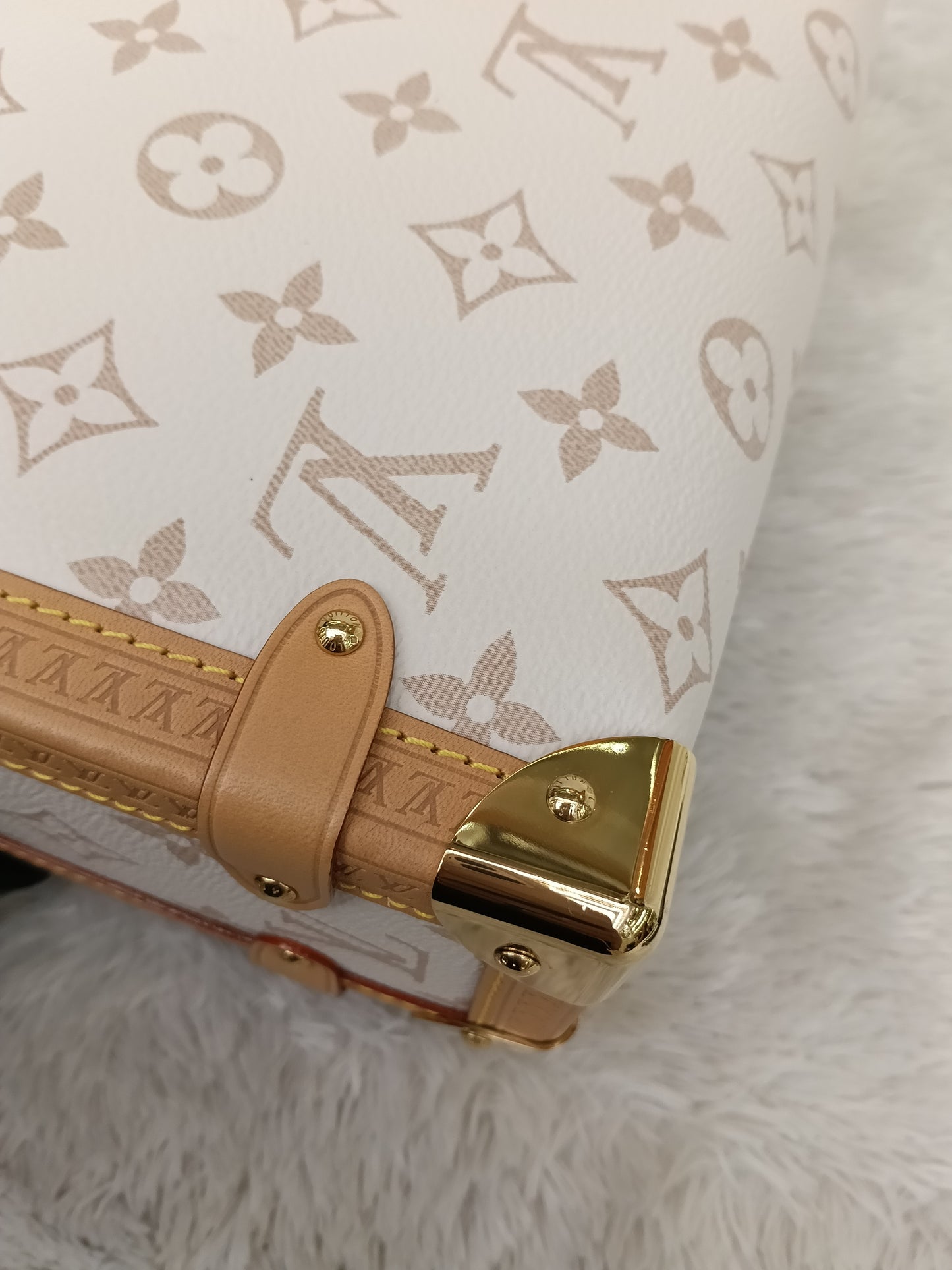LV Side Trunk MM Monogram Dune (CHIP)