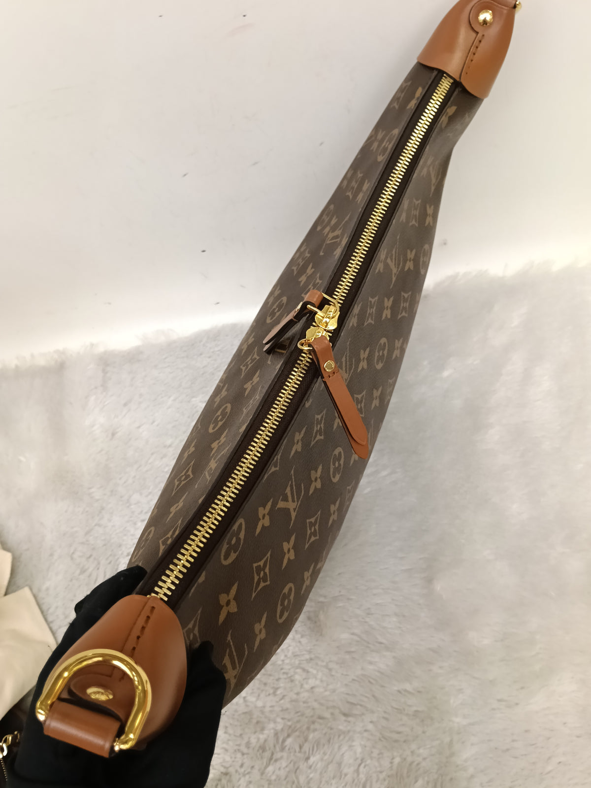 LV Loop Hobo Monogram Reverse (CHIP)