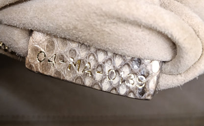 Lady Dior Mini Python GHW 2019