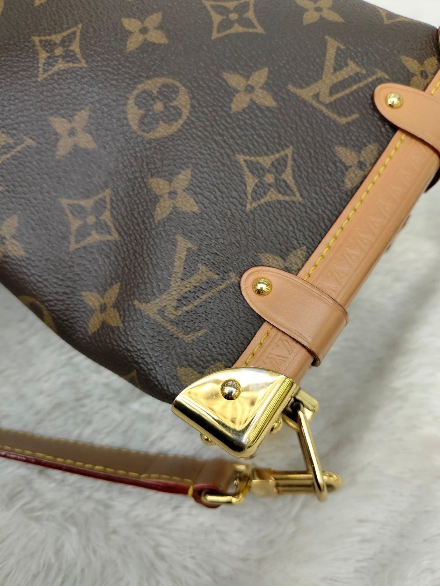LV Side Trunk MM Monogram (CHIP)