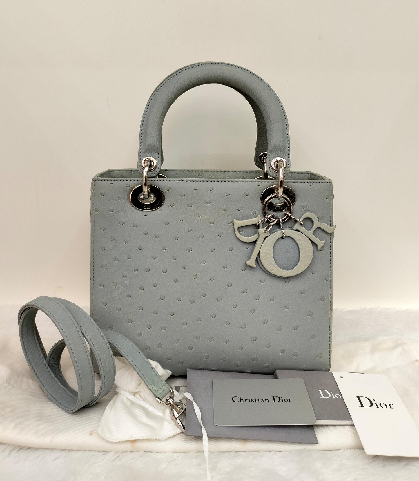 Lady Dior Medium Ostrich Baby Blue SHW 2017