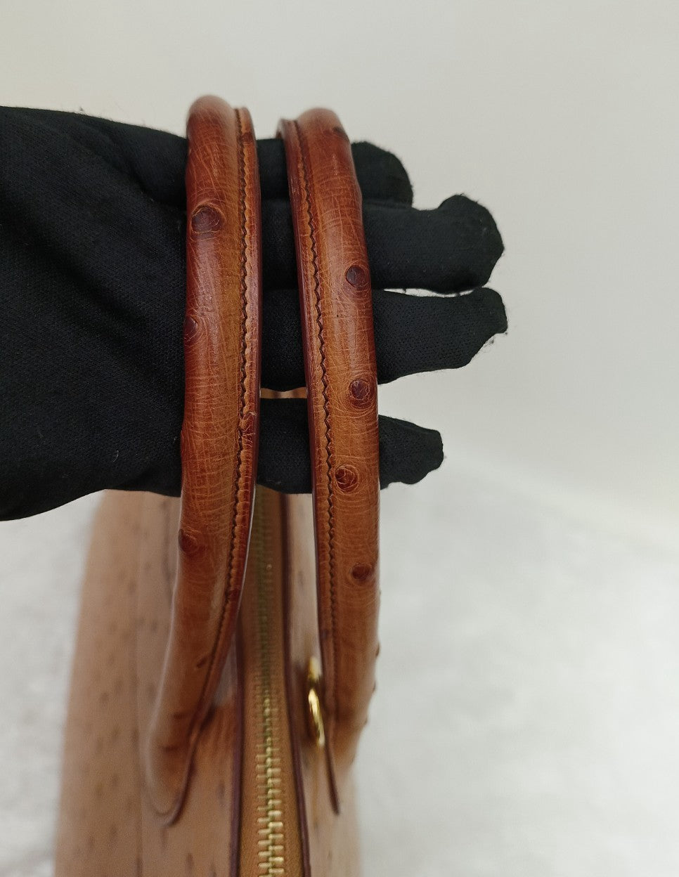 Bolide35 Ostrich Chestnut GHW #A square
