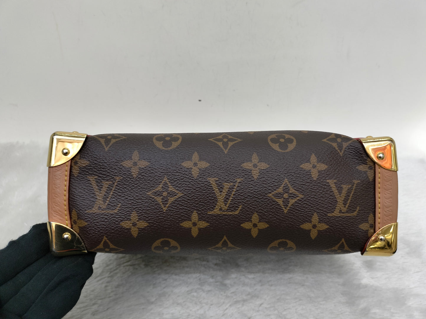 LV Side Trunk MM Monogram (CHIP)