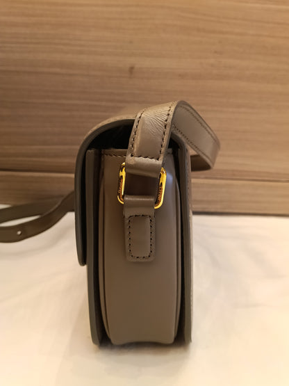Celine Triomphe Teen Shiny Calfskin Pebble GHW 2022