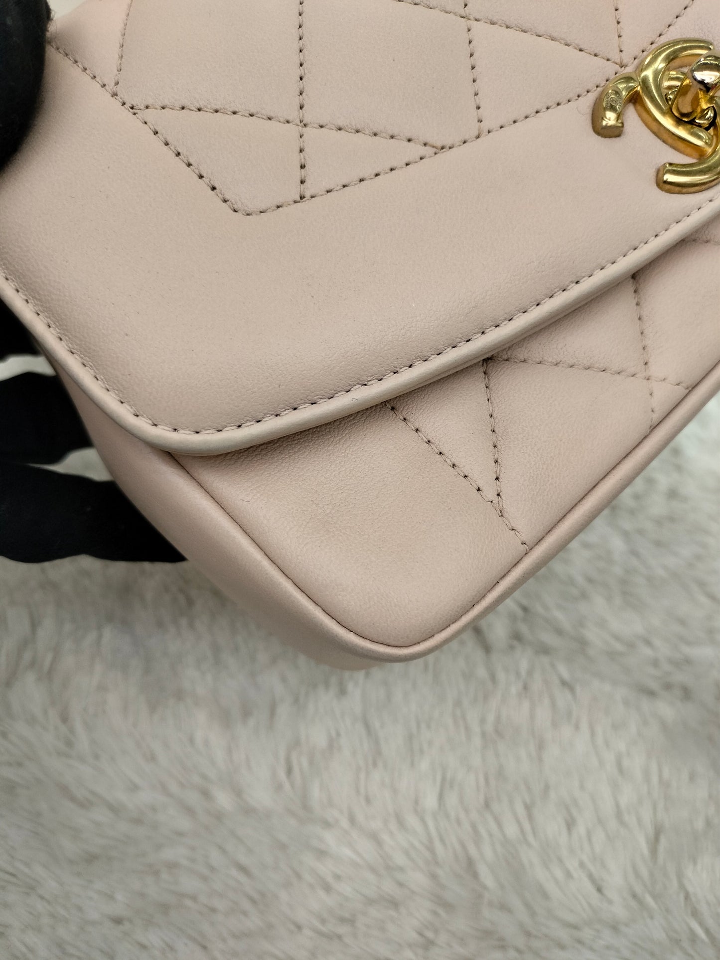 Chanel Diana Flap Small Lamb Light Beige GHW #20