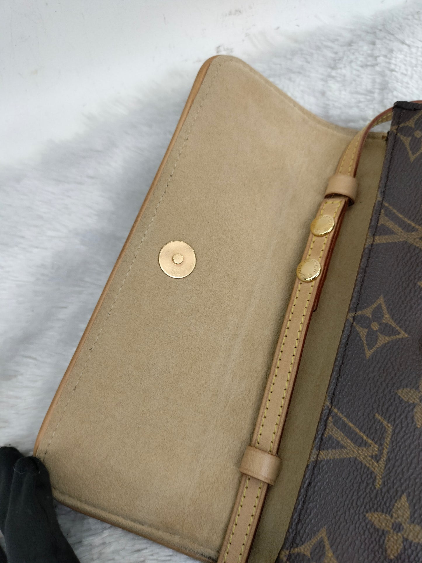 LV Twin PM Pochette Monogram