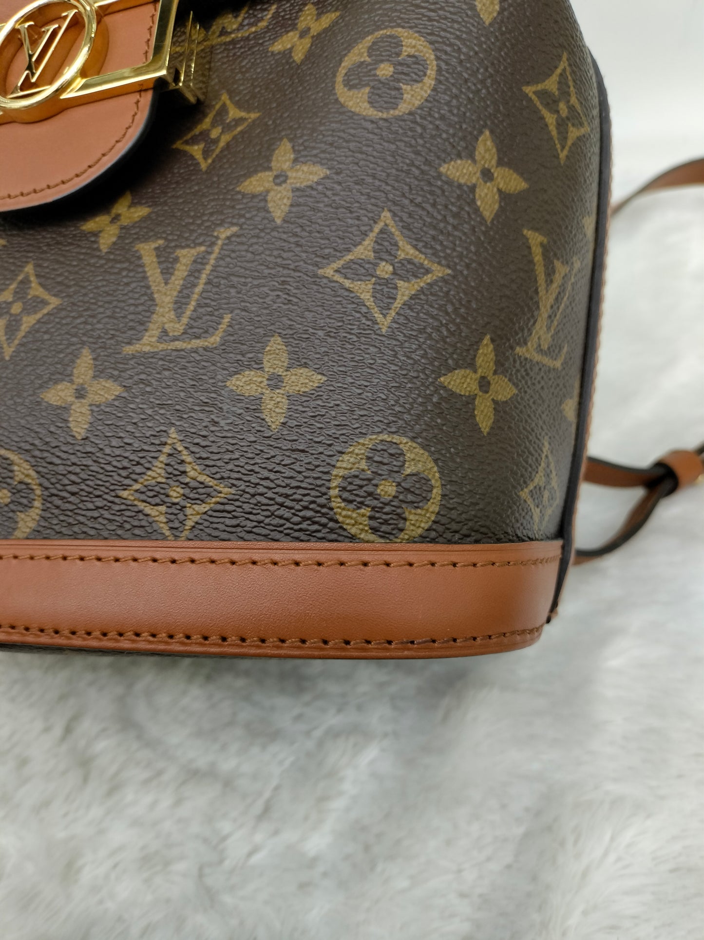 LV Dauphine Backpack Monogram Reverse 2020