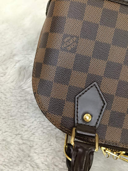 LV Alma BB Damier (CHIP)