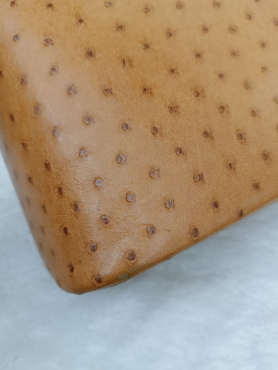 Bolide35 Ostrich Chestnut GHW #A square