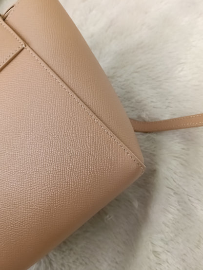Celine Nano Belt Grained Desert Rose GHW 2020