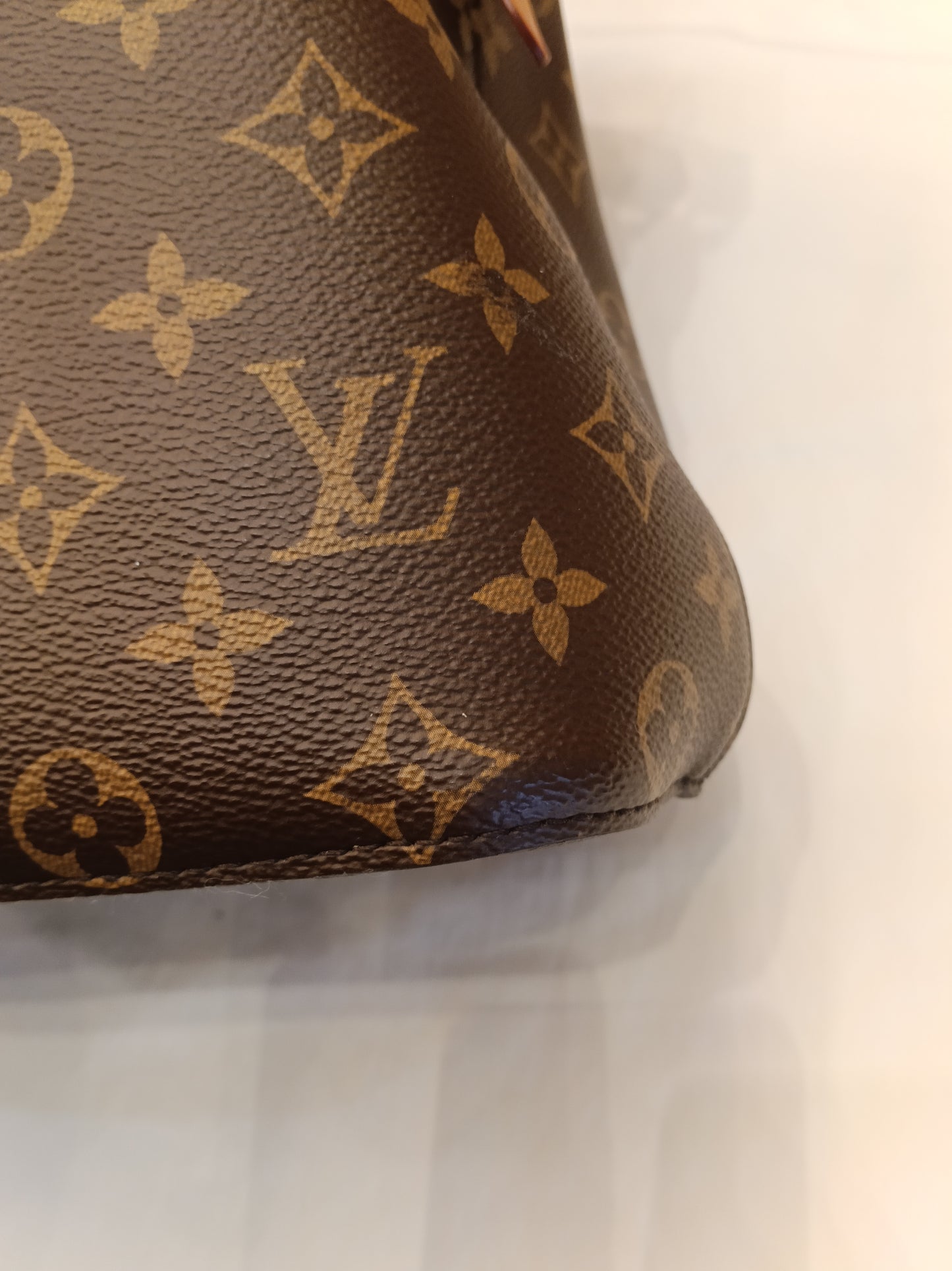 LV Neo Noe BB Monogram Shearling Cozygram 2023 (CHIP)