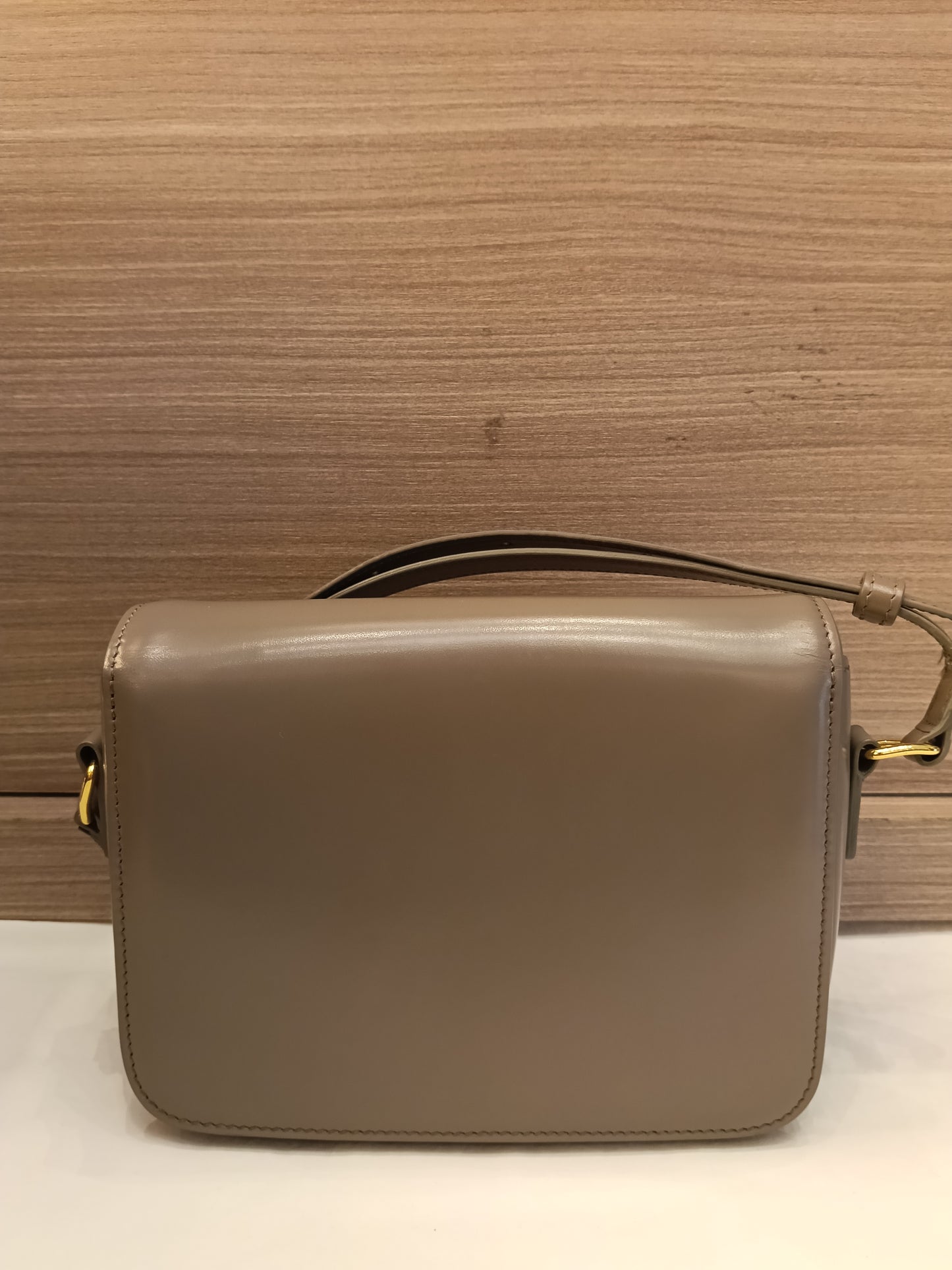 Celine Triomphe Teen Shiny Calfskin Pebble GHW 2022