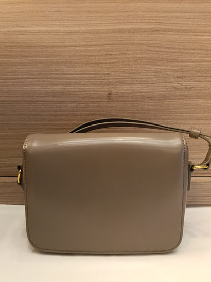 Celine Triomphe Teen Shiny Calfskin Pebble GHW 2022