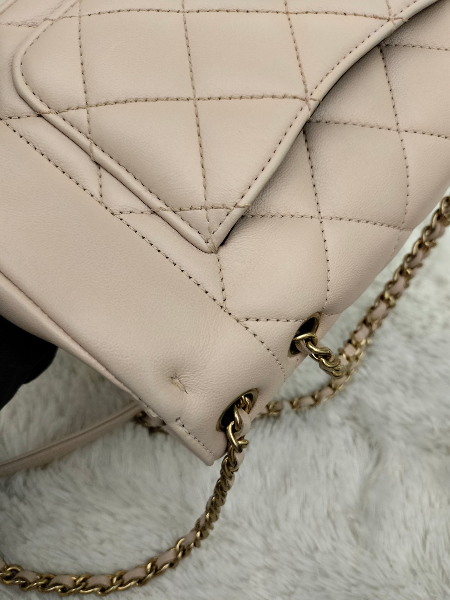 Chanel Diana Flap Small Lamb Light Beige GHW #20