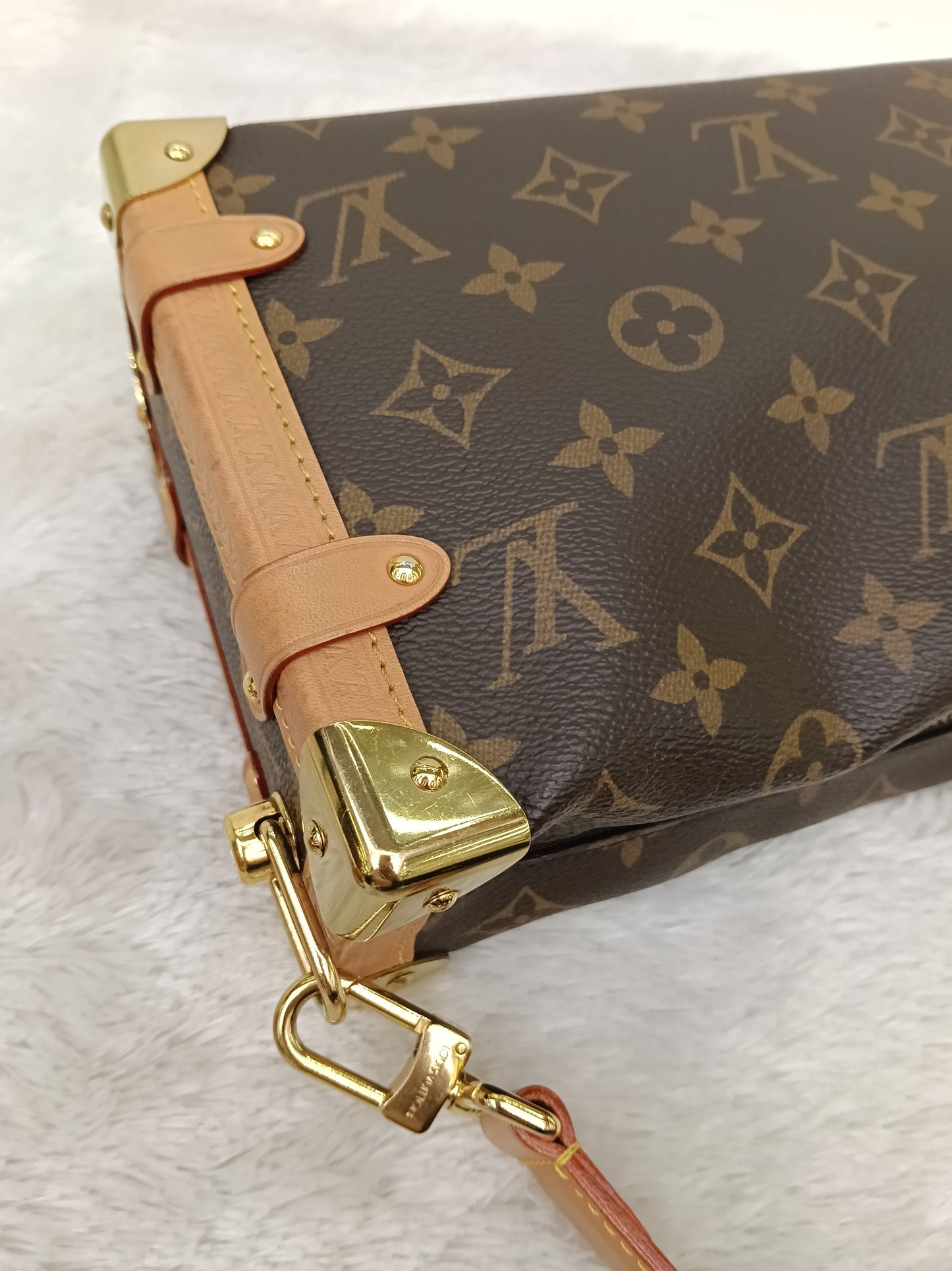 LV Side Trunk MM Monogram (CHIP)