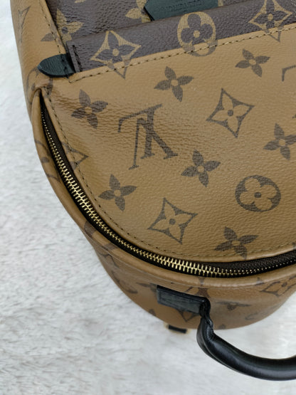 LV Palm Springs Mini Monogram Reverse 2019