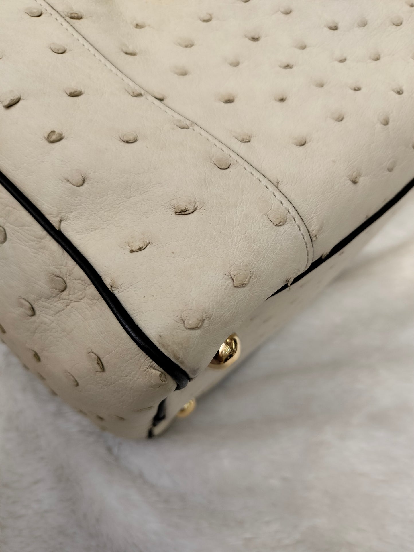 Loewe Fusta Ostrich Anagram Beige Brown GHW 2011