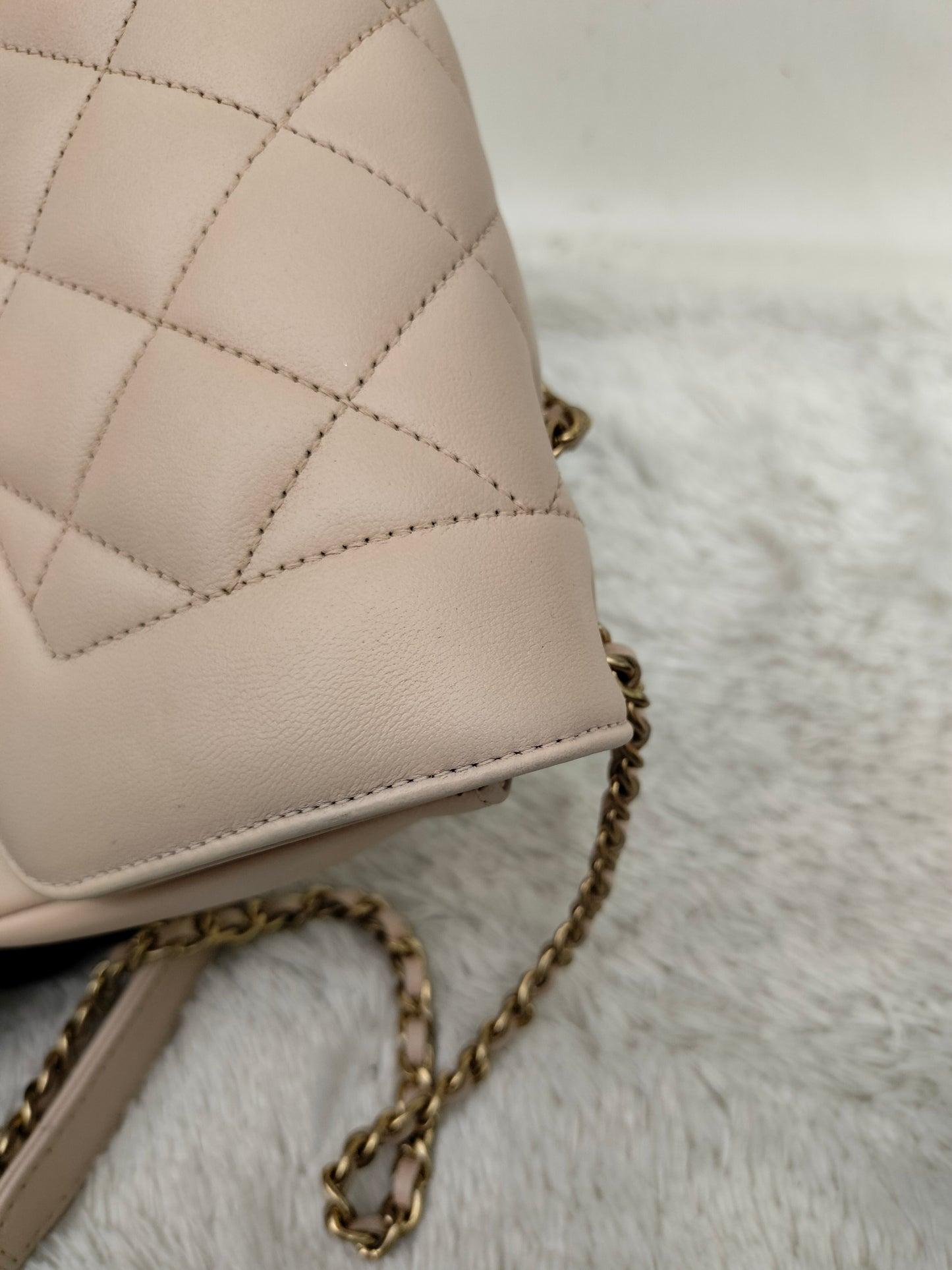 Chanel Diana Flap Small Lamb Light Beige GHW #20