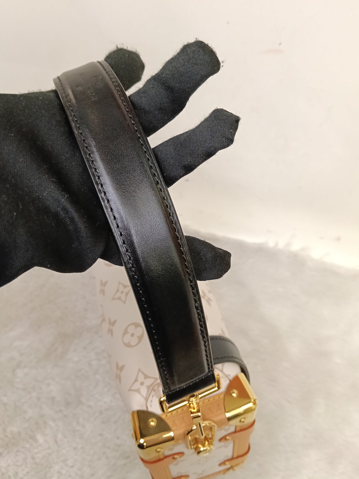 LV Side Trunk MM Monogram Dune (CHIP)