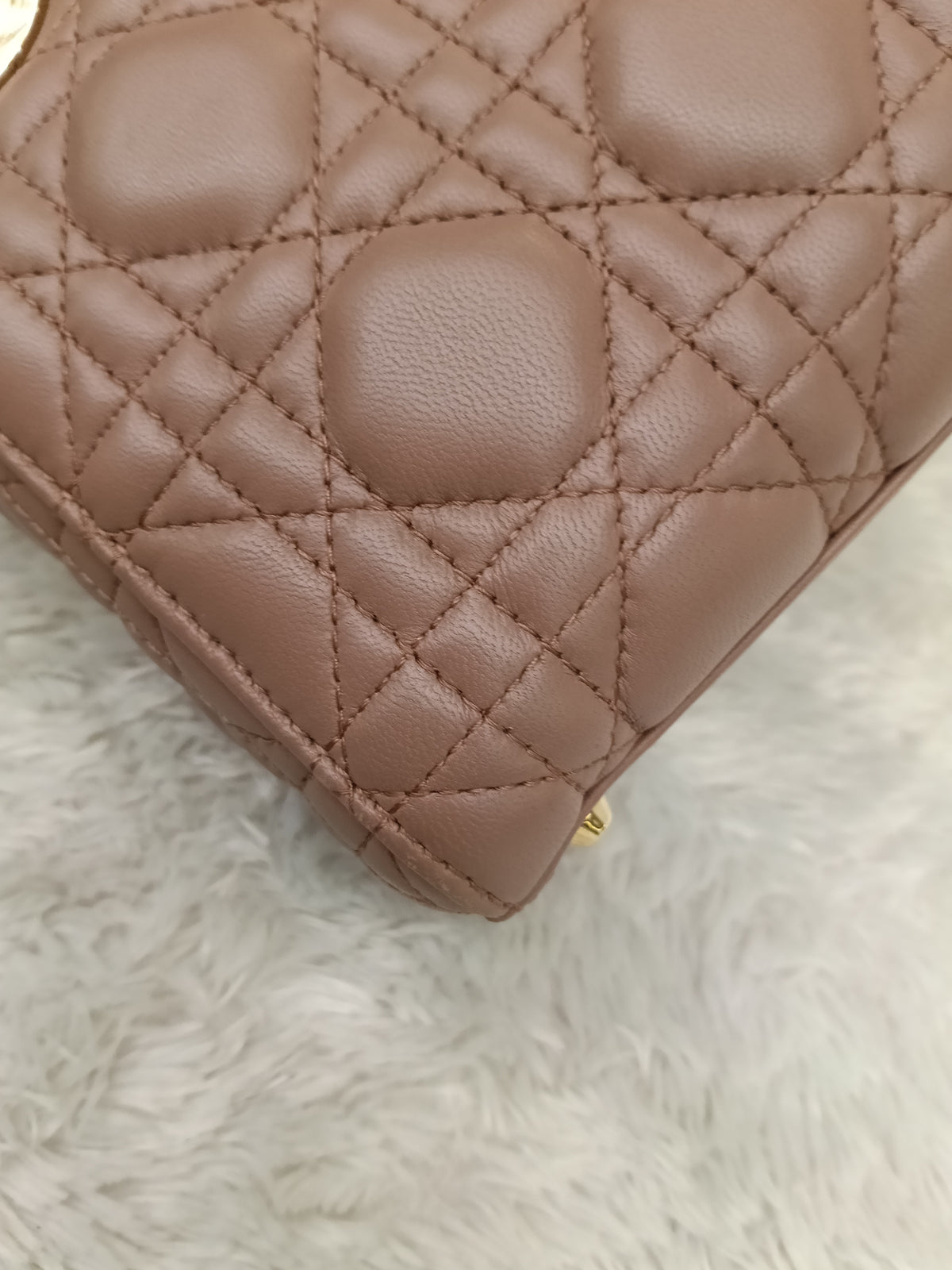 Lady Dior Mini Lamb Fard GHW 2019