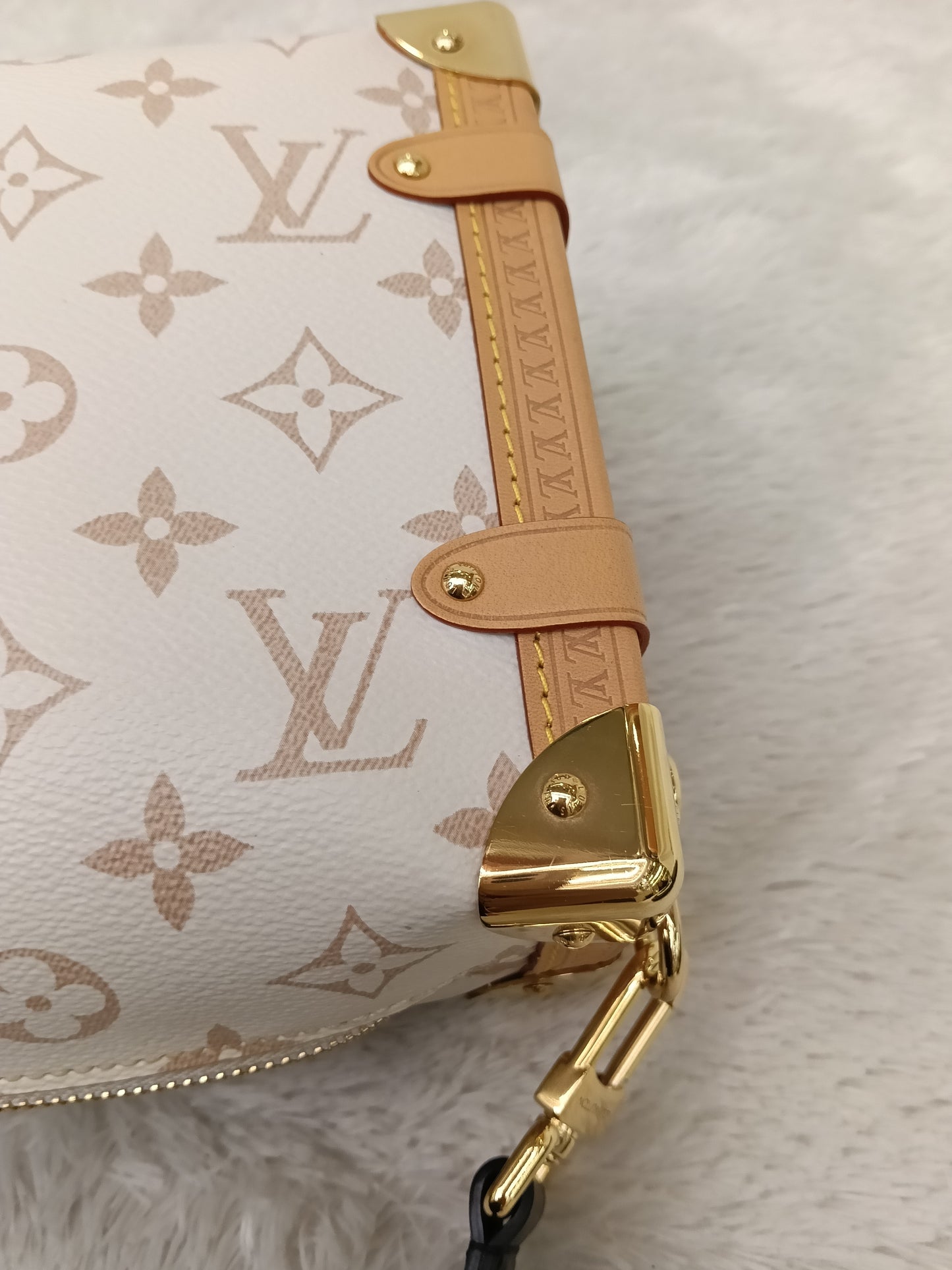 LV Side Trunk MM Monogram Dune (CHIP)