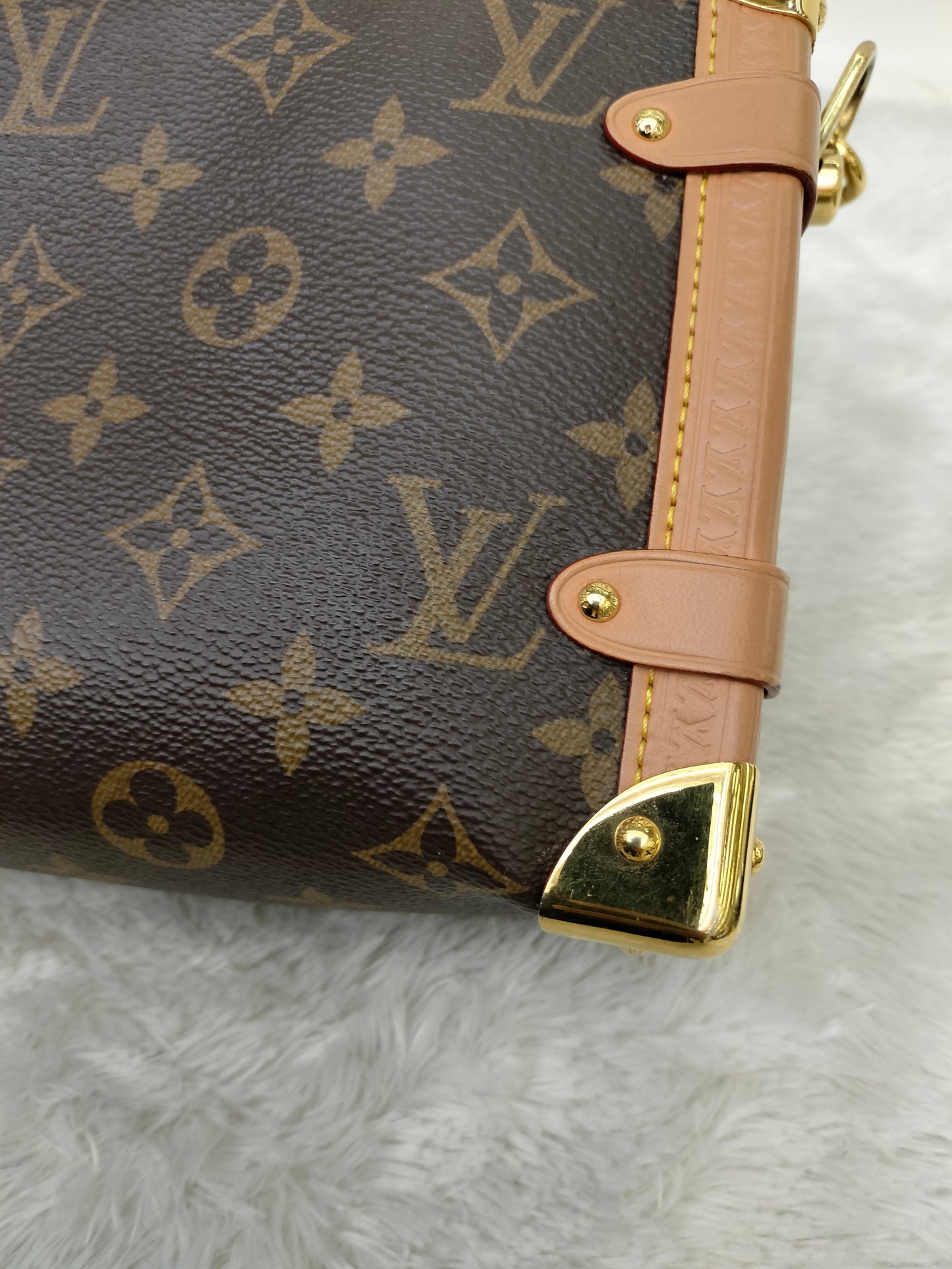 LV Side Trunk MM Monogram (CHIP)