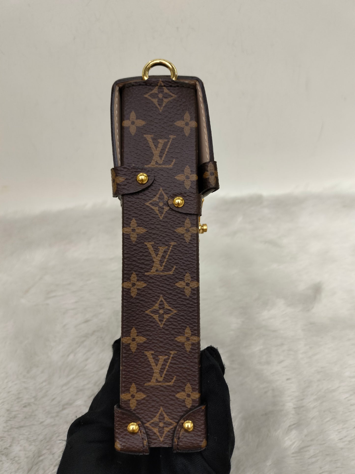 LV Pochette Trunk Vertical Monogram Reverse 2019