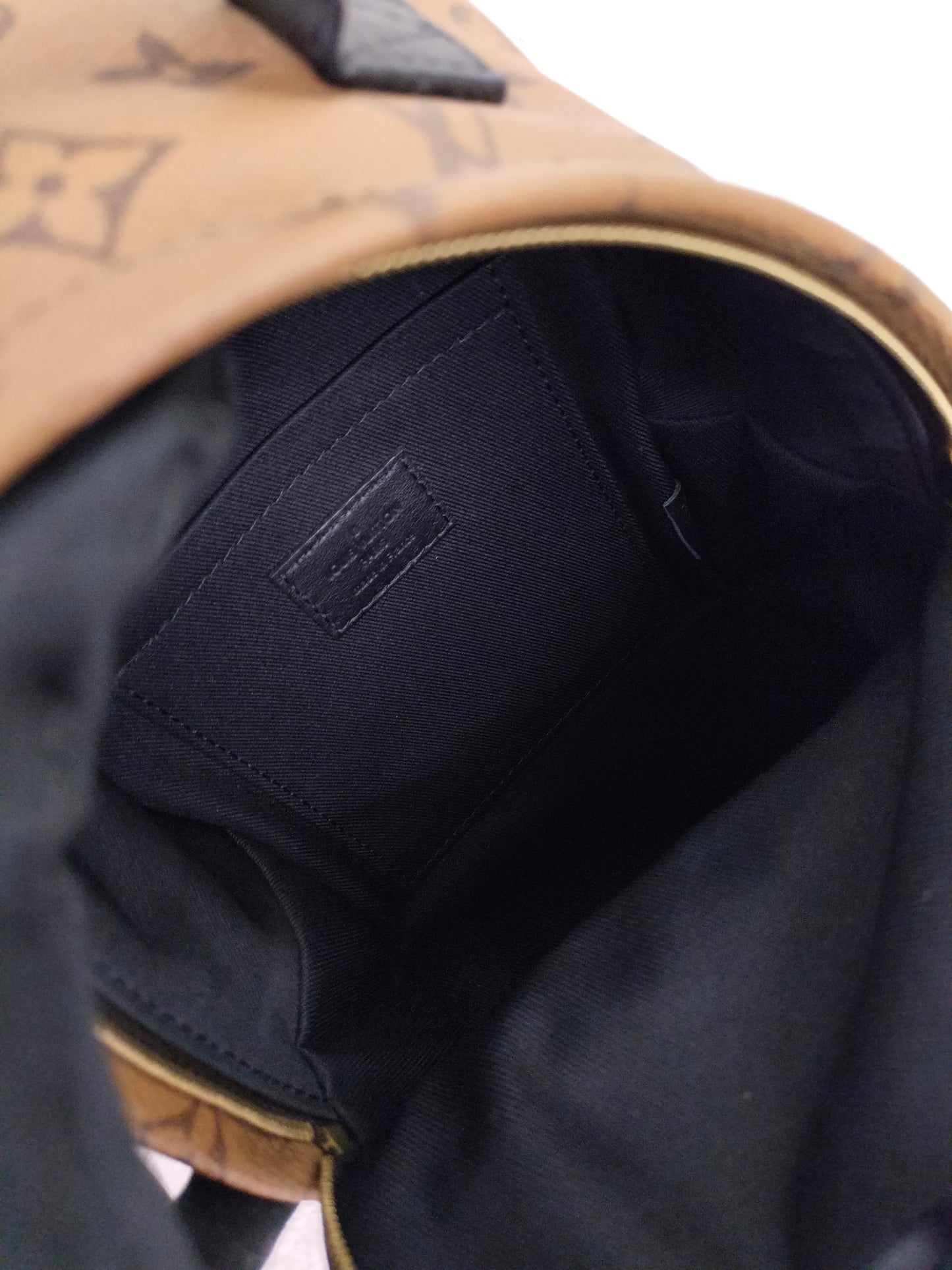 LV Palm Springs Mini Monogram Reverse 2019