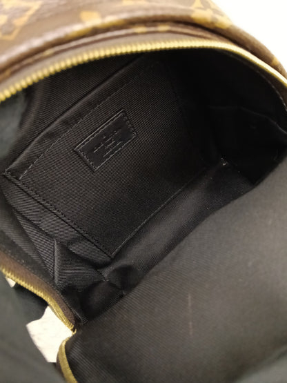 LV Palm Springs Mini NV Monogram  (CHIP)