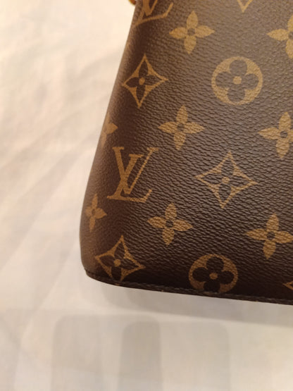 LV Neo Noe BB Monogram Shearling Cozygram 2023 (CHIP)