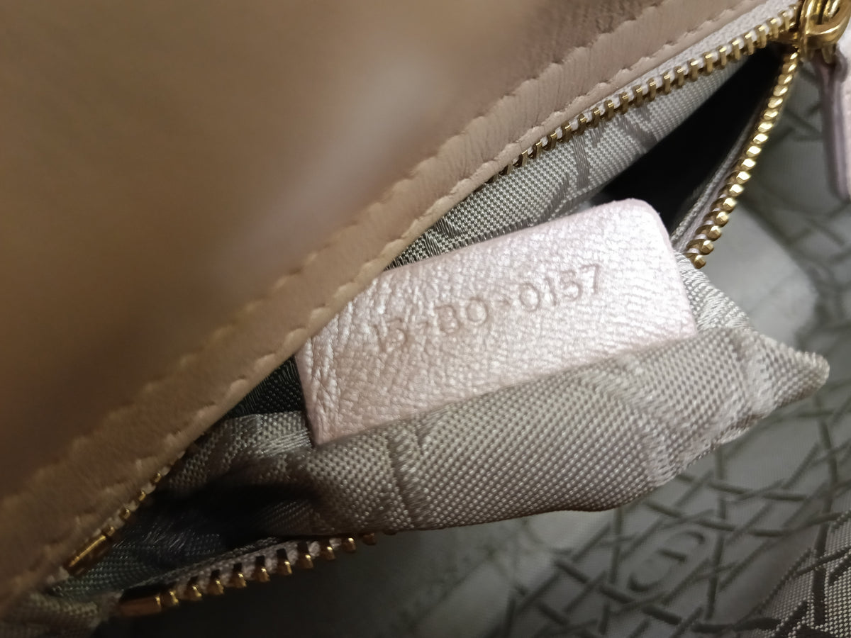 Lady Dior Mini Lamb Blush GHW 2017