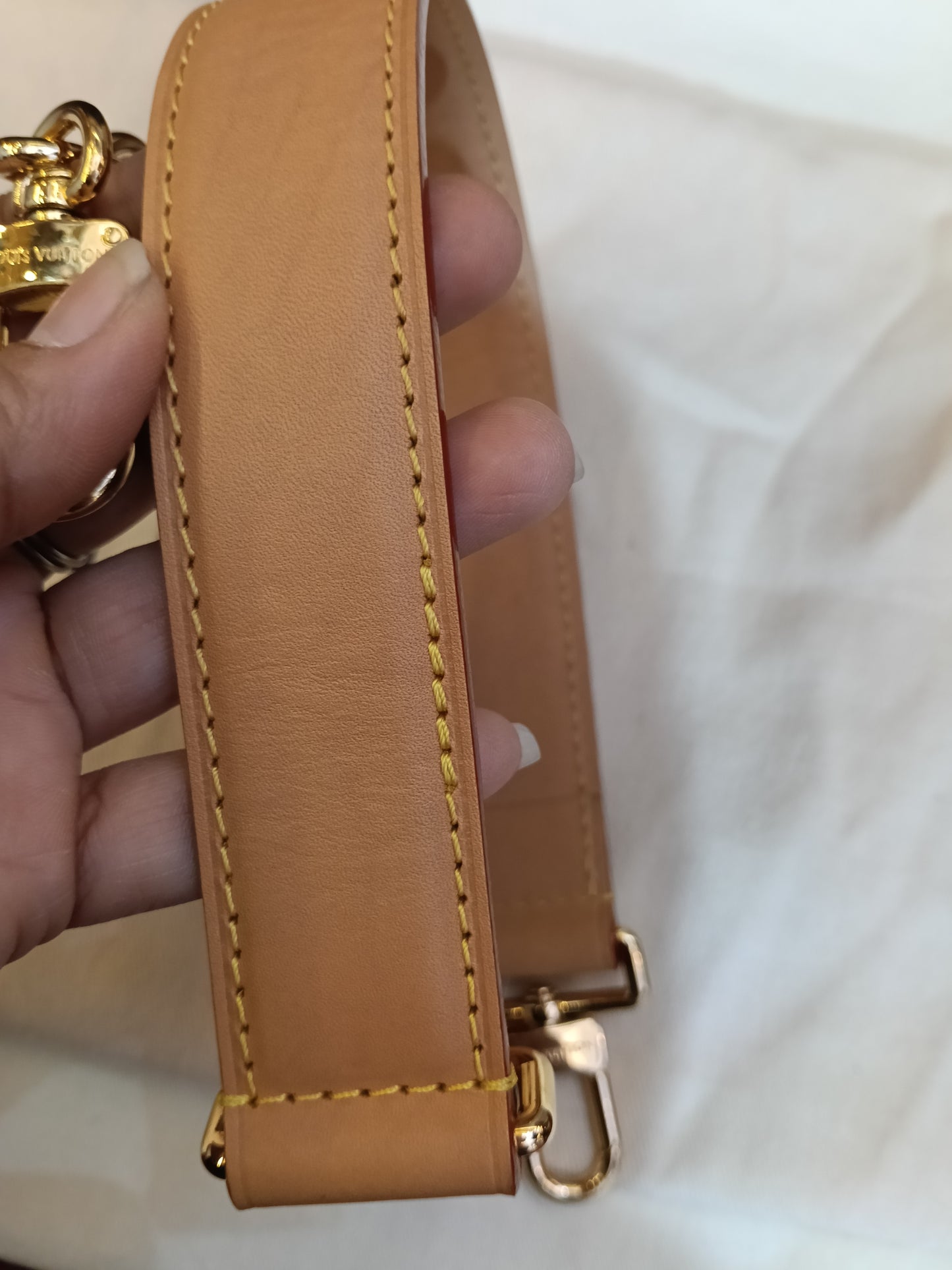 LV Side Trunk GM Monogram 2025 (CHIP)