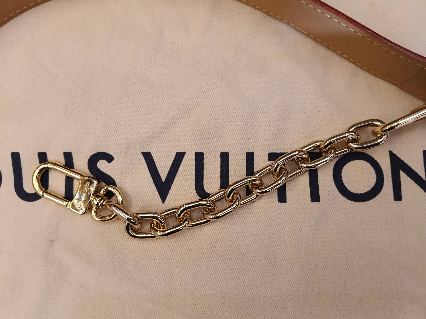LV Side Trunk GM Monogram 2025 (CHIP)