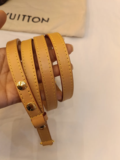 LV Neo Noe BB Monogram Shearling Cozygram 2023 (CHIP)