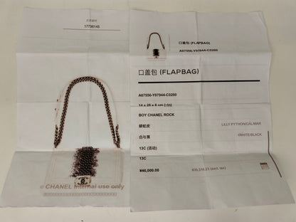 Chanel Boy 25 Rock Python White Blue RHW #17