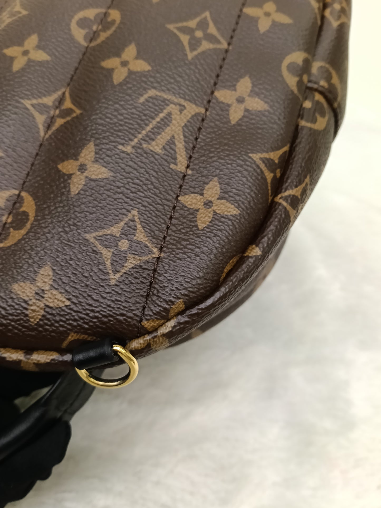 LV Palm Springs Mini NV Monogram  (CHIP)