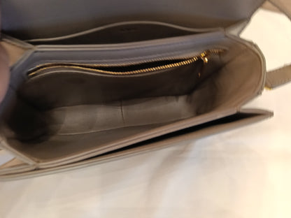 Celine Triomphe Teen Shiny Calfskin Pebble GHW 2022