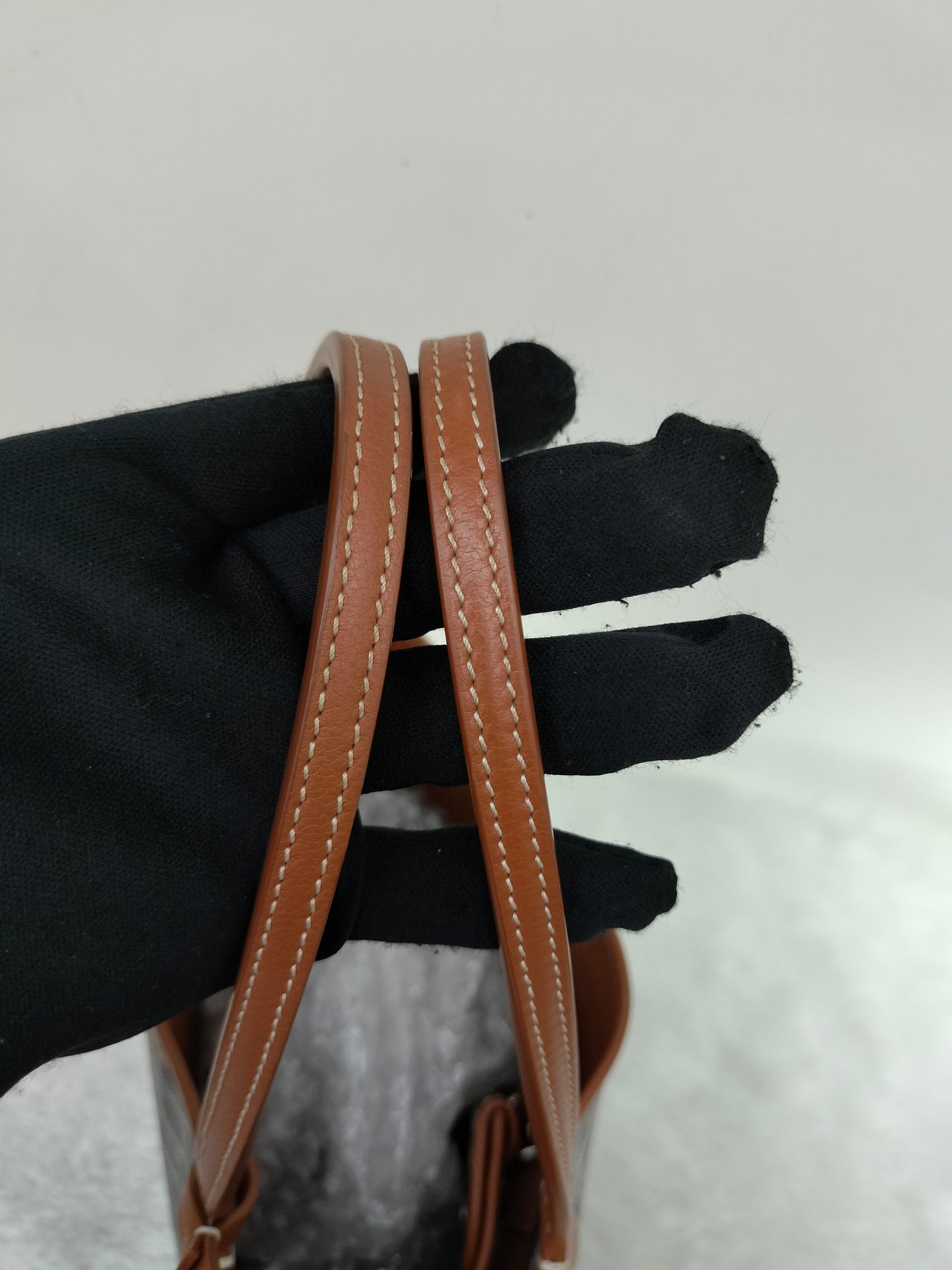 Goyard Anjou Mini Black Tan