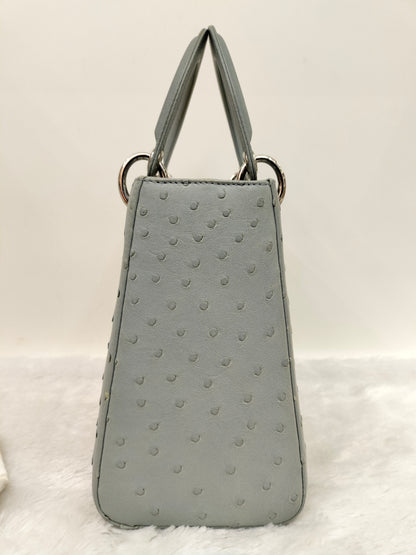 Lady Dior Medium Ostrich Baby Blue SHW 2017