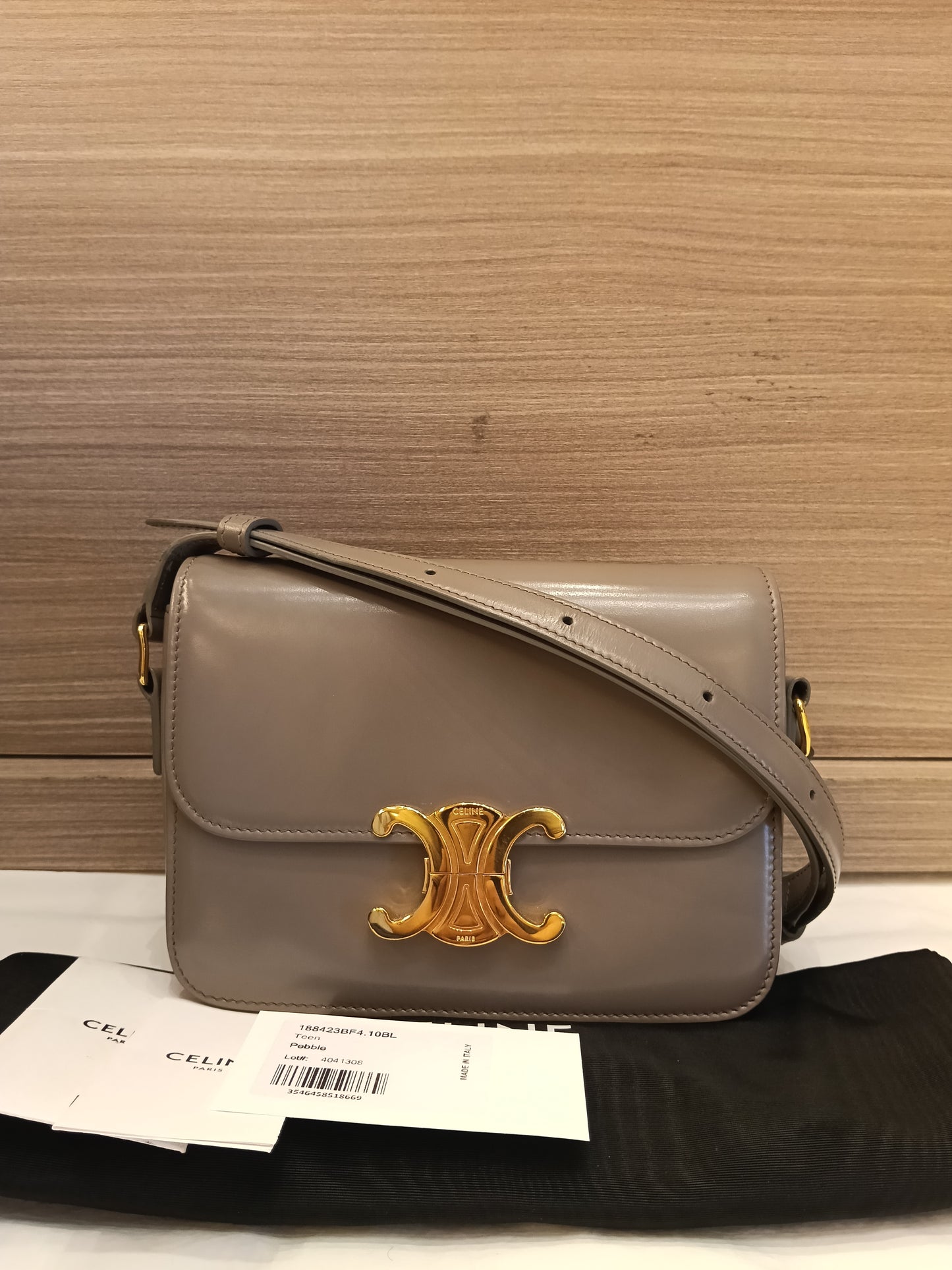 Celine Triomphe Teen Shiny Calfskin Pebble GHW 2022