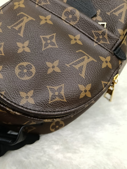 LV Palm Springs Mini NV Monogram  (CHIP)
