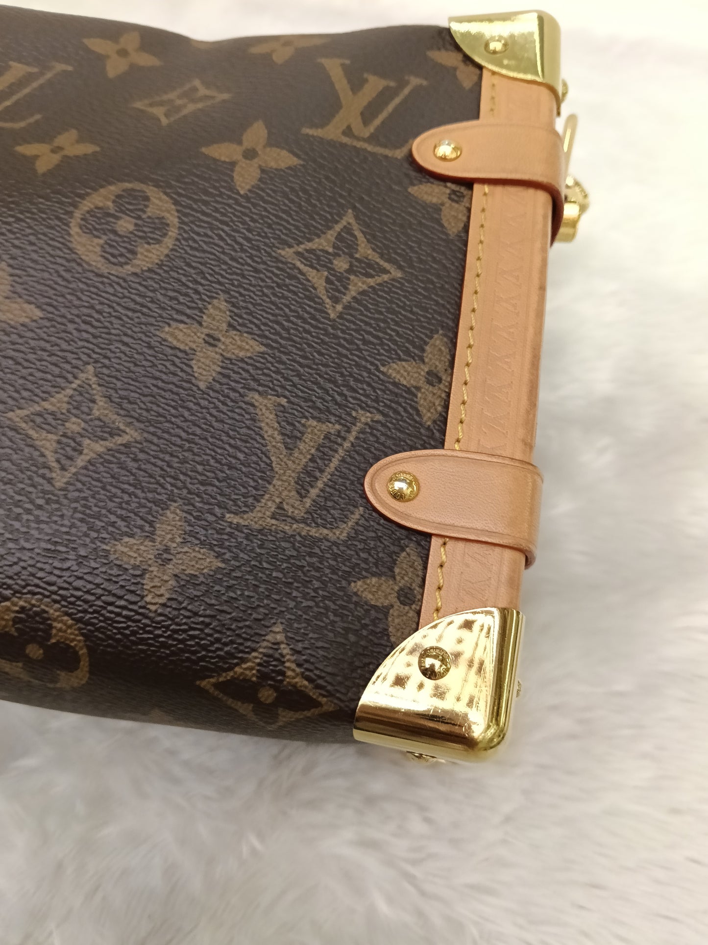 LV Side Trunk MM Monogram (CHIP)