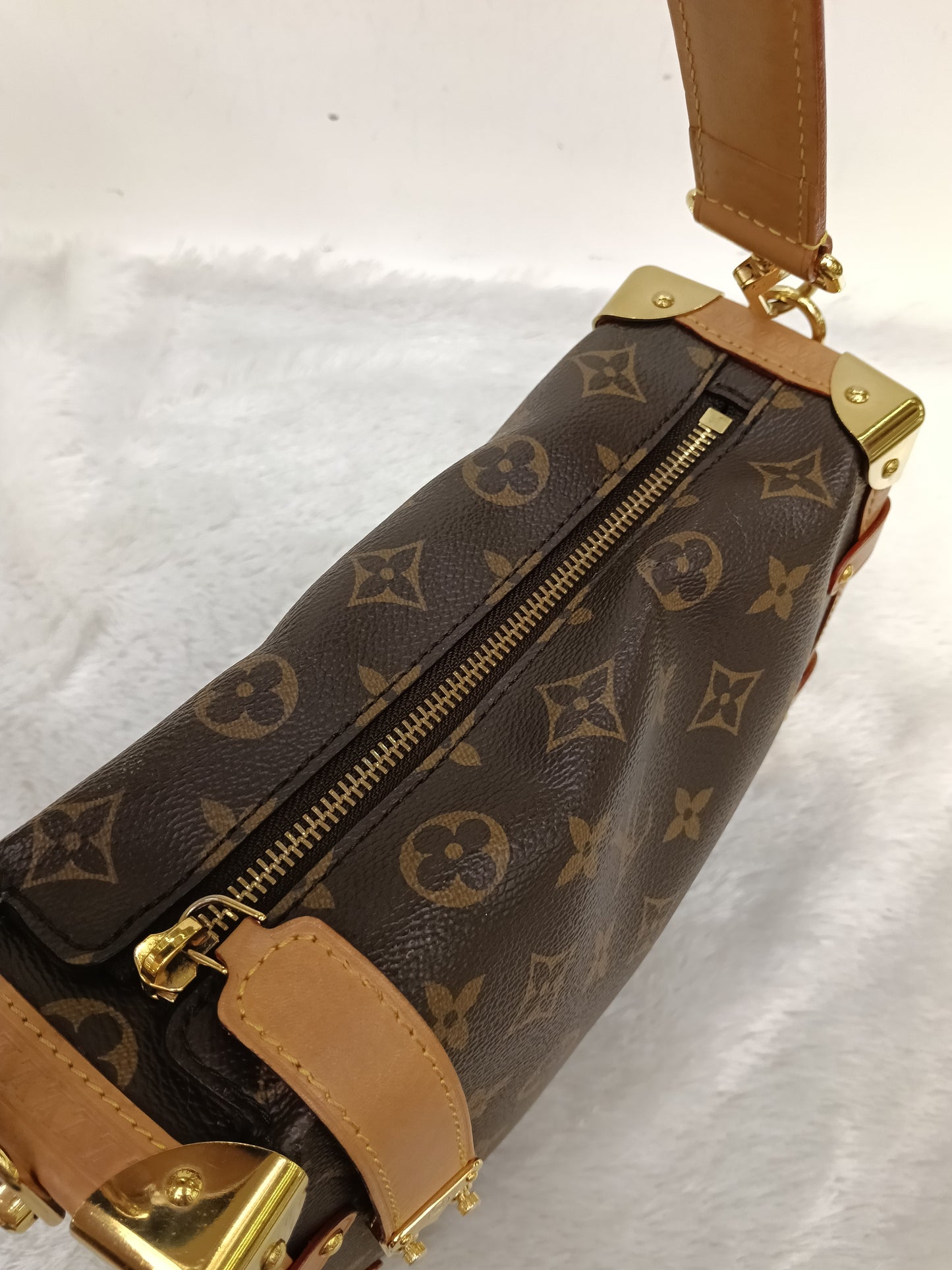 LV Side Trunk MM Monogram (CHIP)