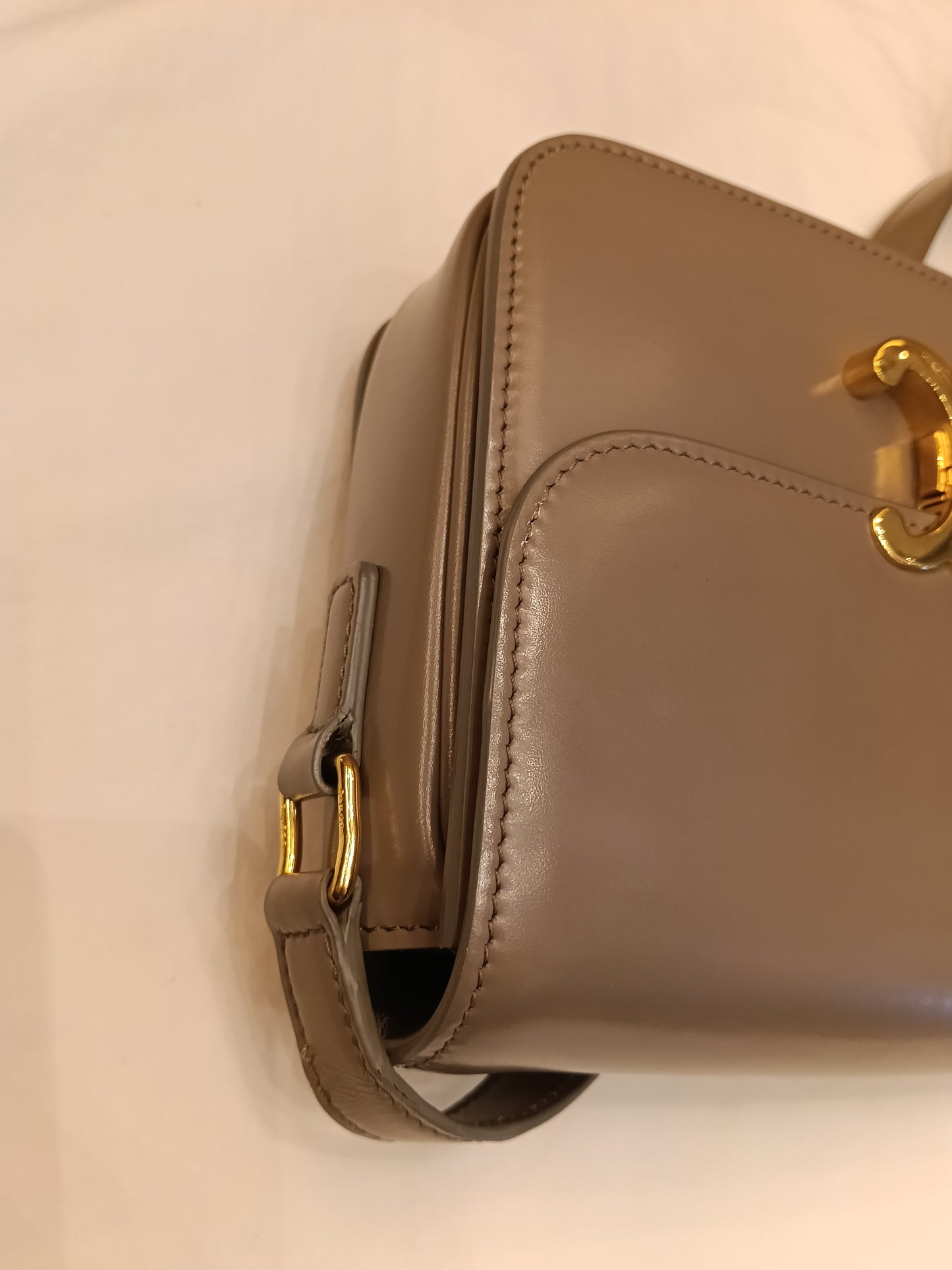 Celine Triomphe Teen Shiny Calfskin Pebble GHW 2022