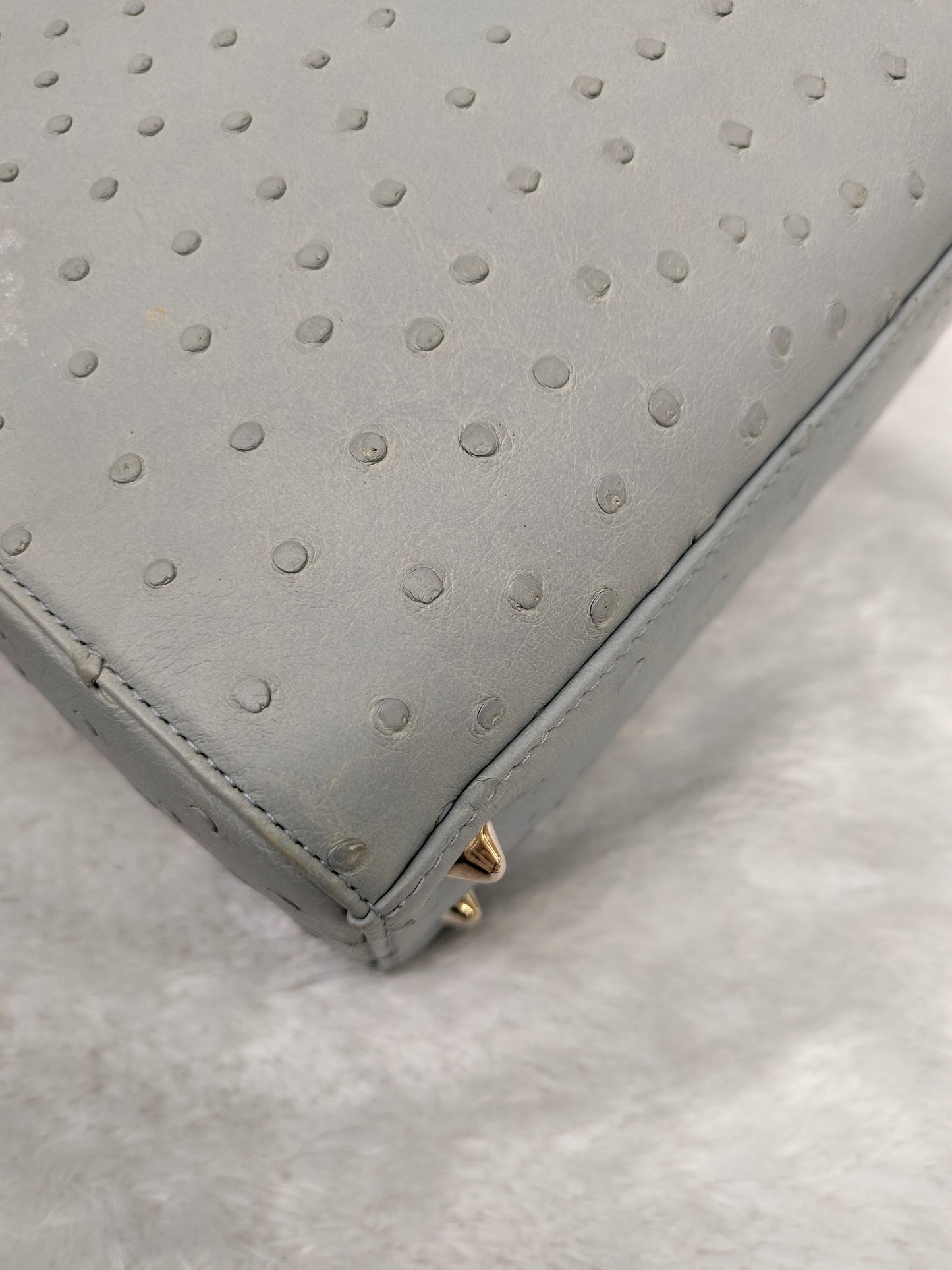 Lady Dior Medium Ostrich Baby Blue SHW 2017