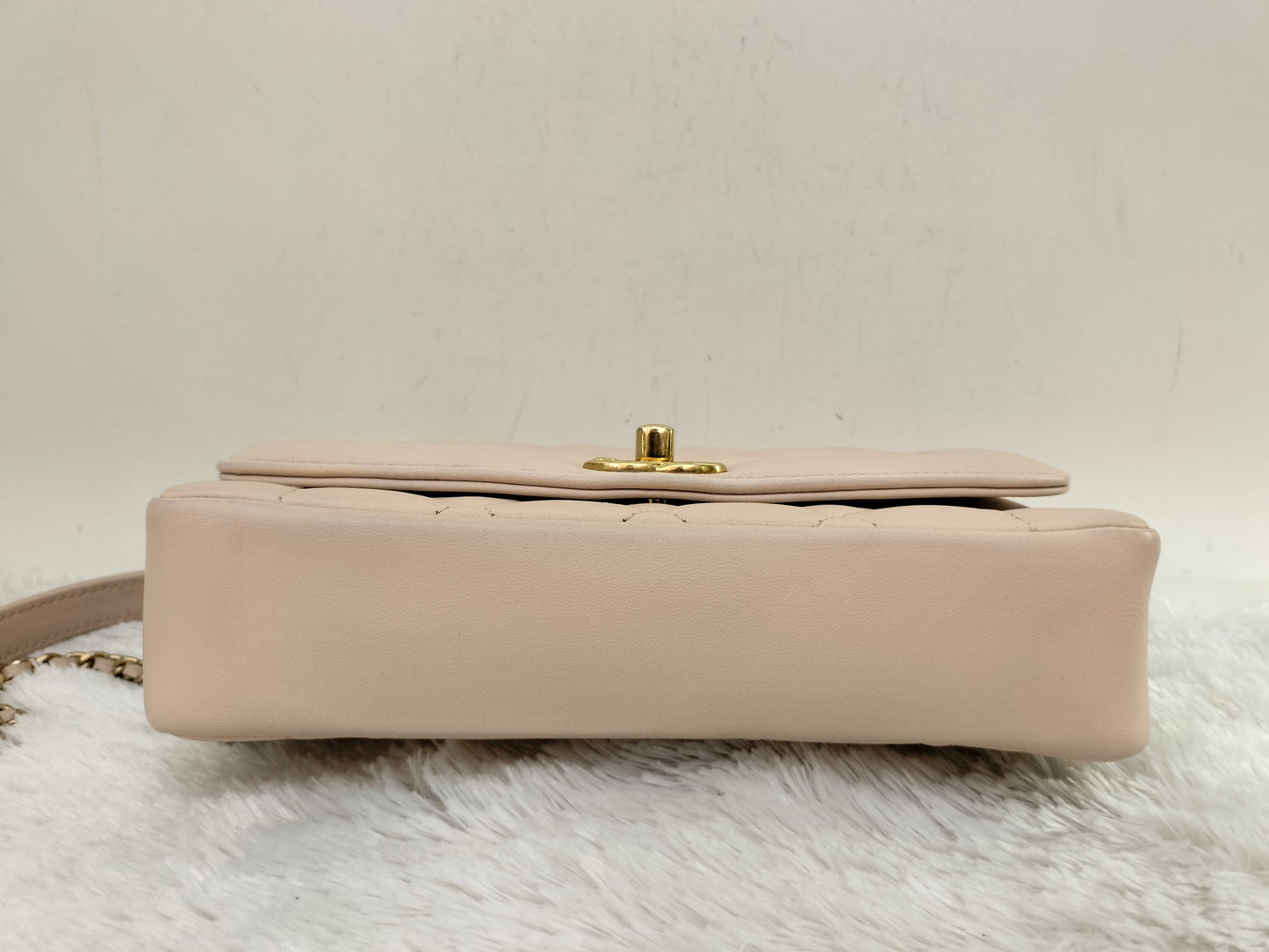 Chanel Diana Flap Small Lamb Light Beige GHW #20