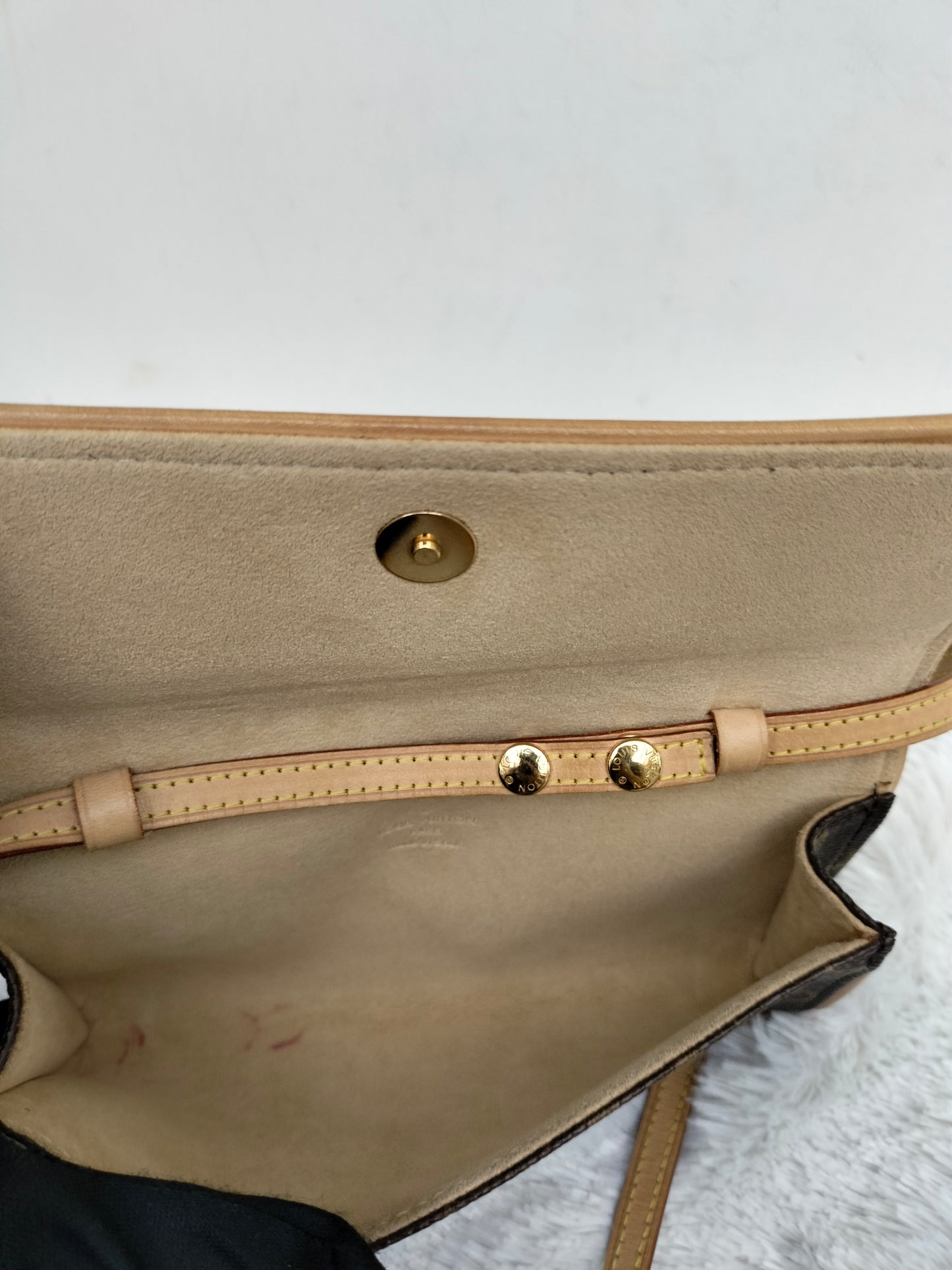 LV Twin PM Pochette Monogram