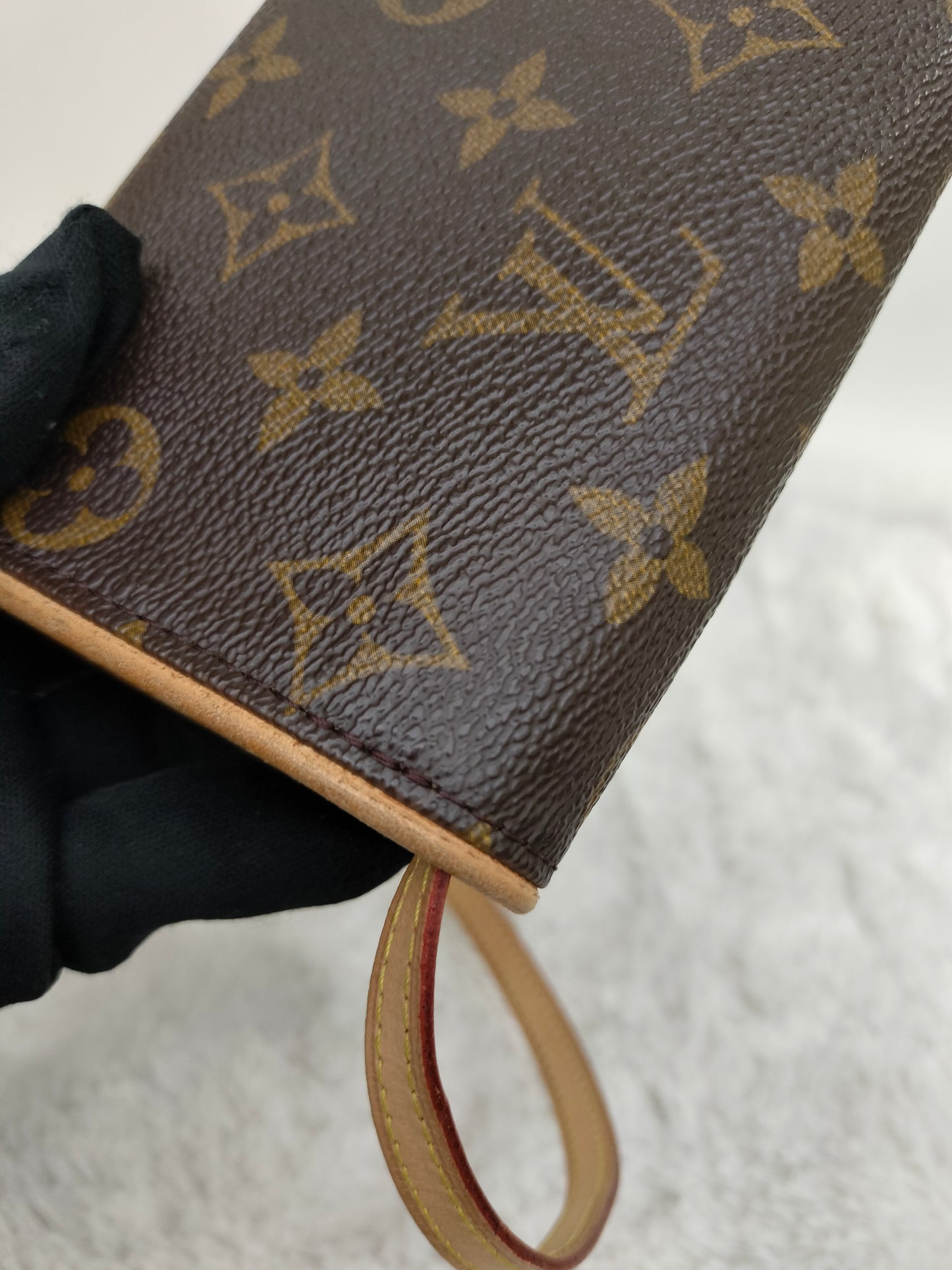 LV Twin PM Pochette Monogram