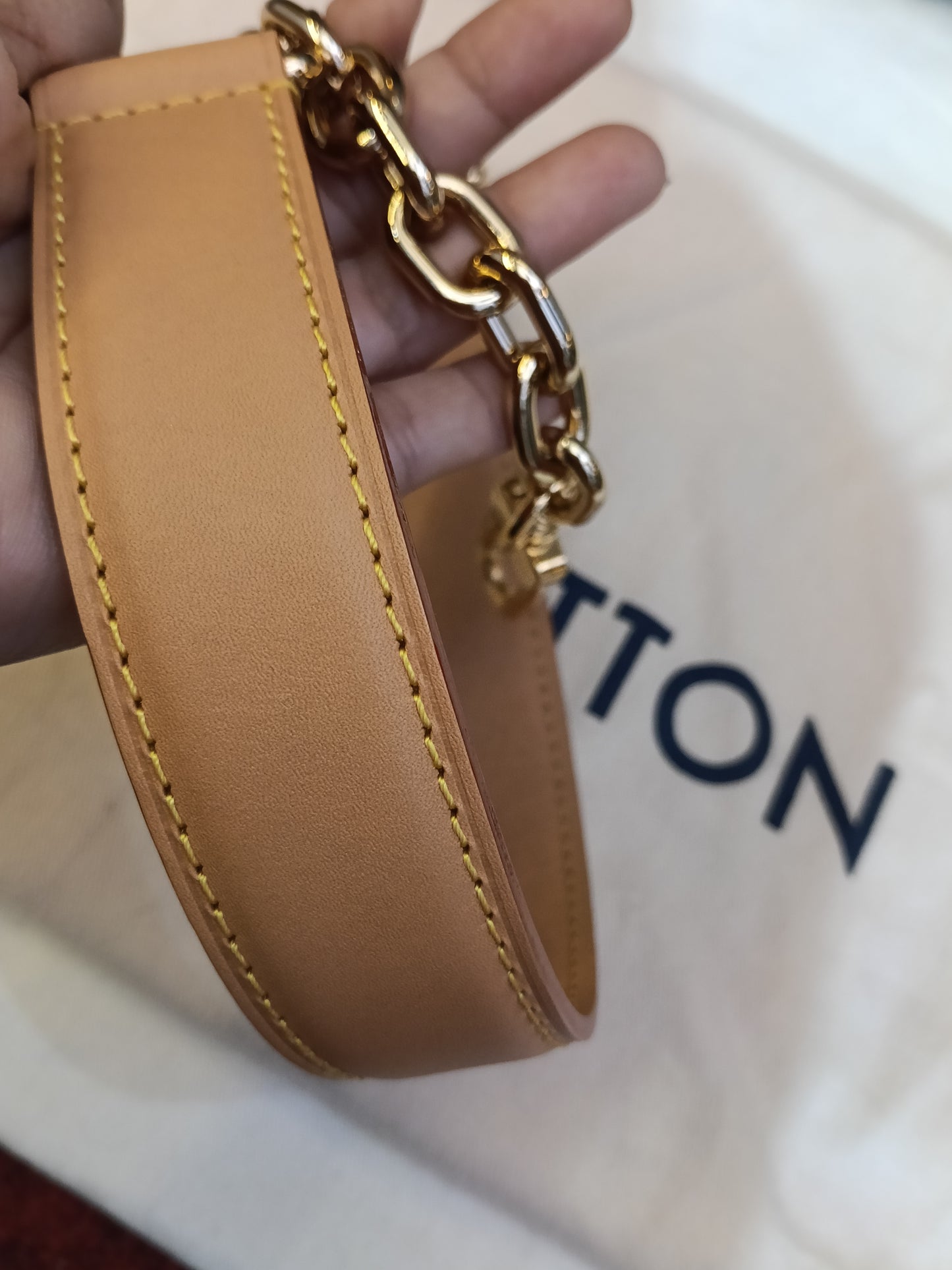 LV Side Trunk GM Monogram 2025 (CHIP)