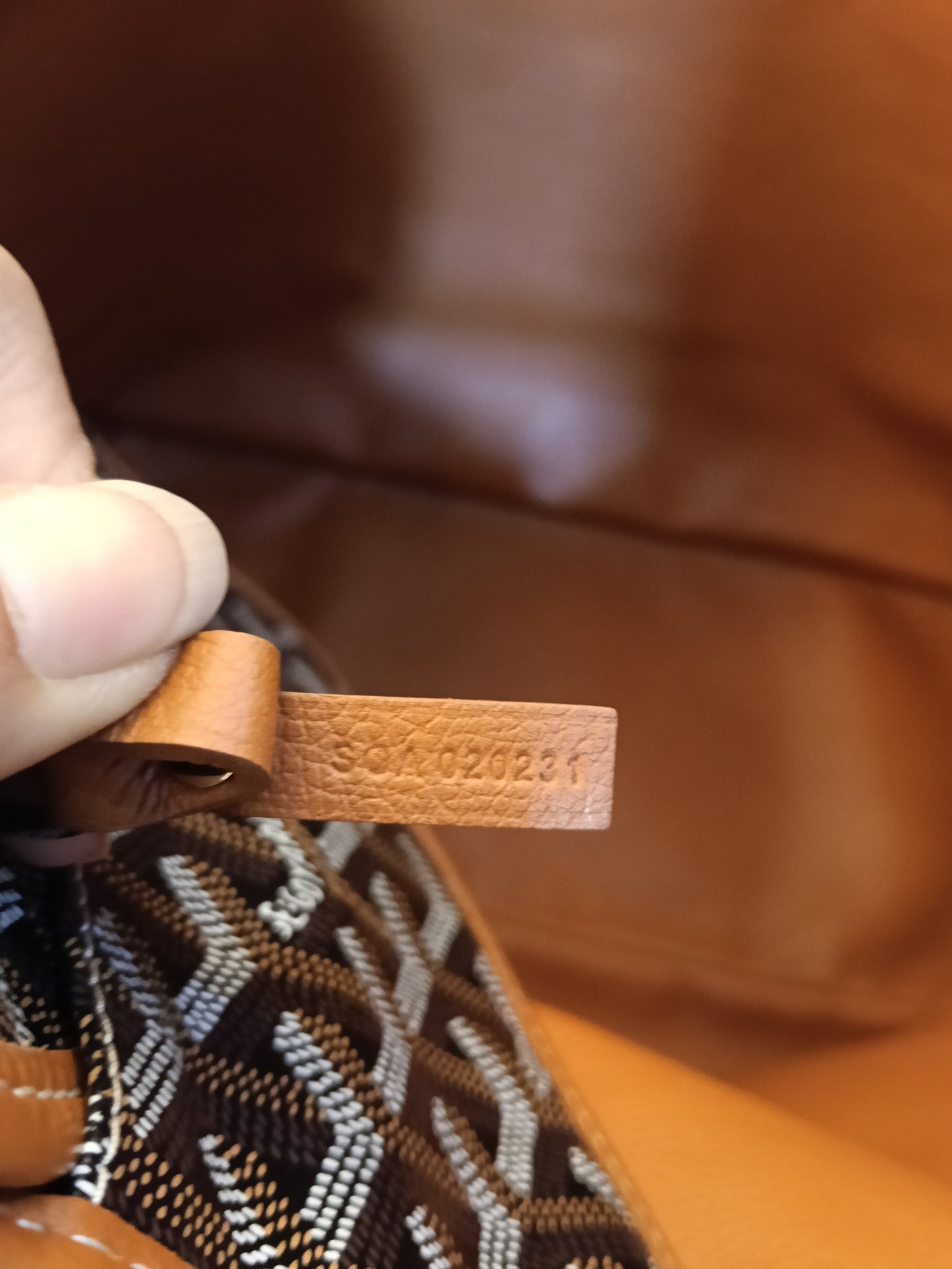 Goyard St Louis PM Black Tan SHW 2023
With pocket, db